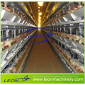 Leon series poultry cage with automatic feeding system